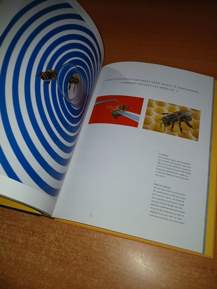 Abeilles mellifères sauvages - photo numéro 8
