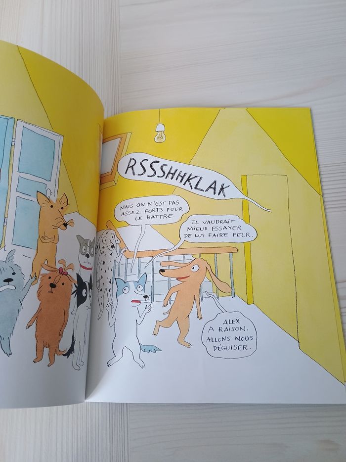 Album jeunesse mystère dans le grenier Dorothée de monfreid - photo numéro 3