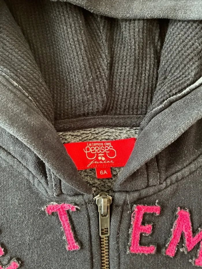 Sweat-shirt capuche zippe 6 ans - photo numéro 2