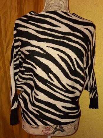 Pull Maille Imprimé Zèbre - Style Chauve-souris