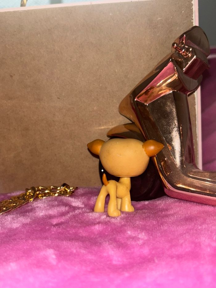 greyhound #498 - photo numéro 3