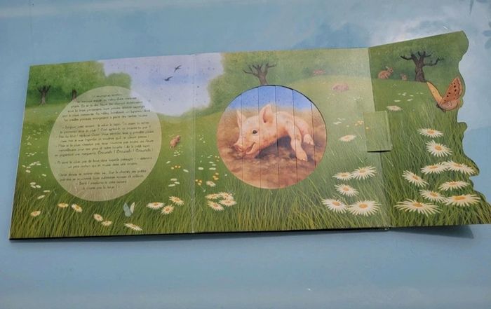 Superbe livre animé de fenêtres magiques, Il pleut petit canard.. Quatre fleuve - photo numéro 8