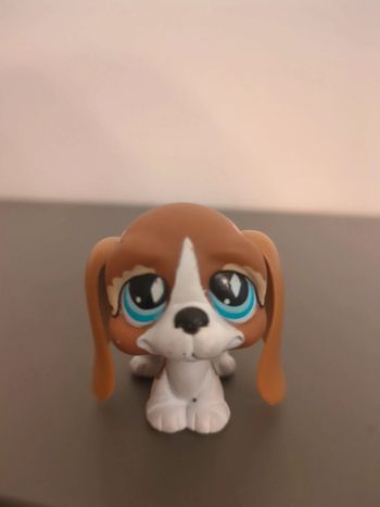 figurine pet shop chien