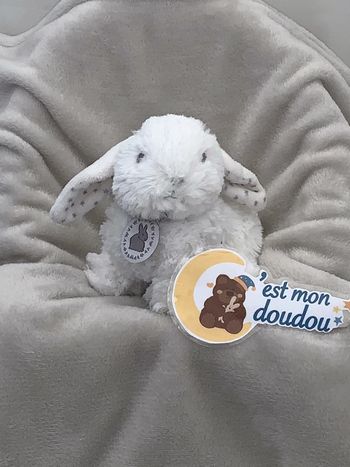 TEX54 doudou lapin tex
