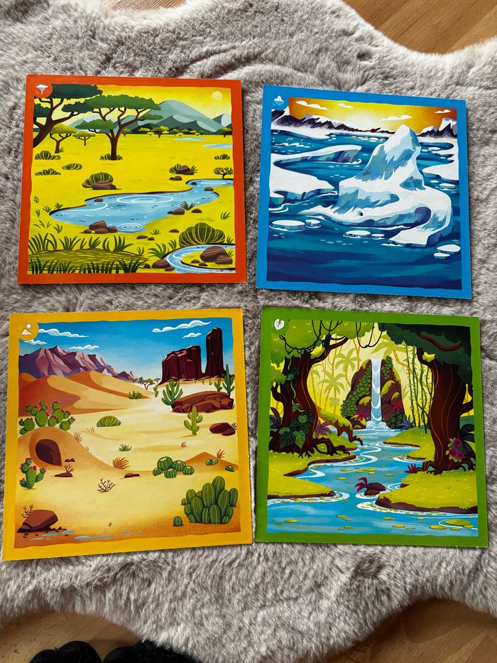 Jeu cach’nature - photo numéro 2