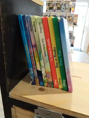 Lot de 9 Livres Disney