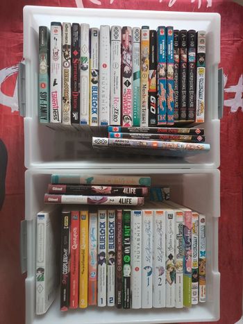 Manga 2,5/piece
