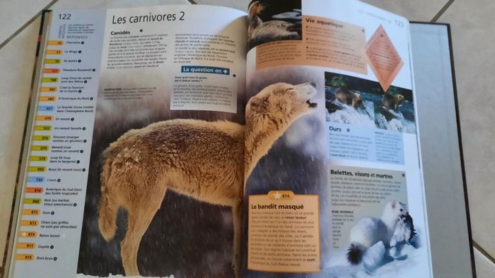 Le monde animal- le grand Quiz des connaissances - photo numéro 5