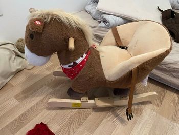 Cheval balançoire