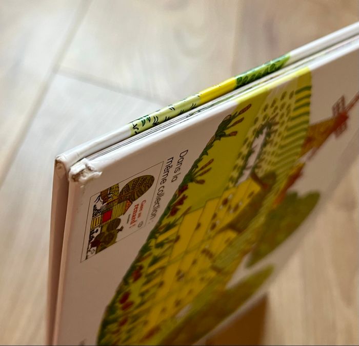 Mais où es-tu mon petit poussin ? - Livre 📕 - photo numéro 4