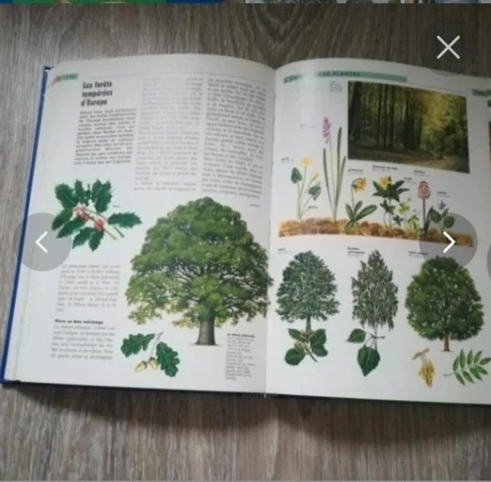 Livre encyclopédie memo junior - photo numéro 2