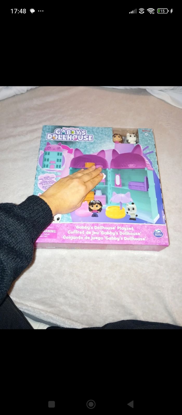 Gabby's chat maison - photo numéro 5