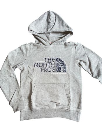 Pull à capuche the north face 10 ans