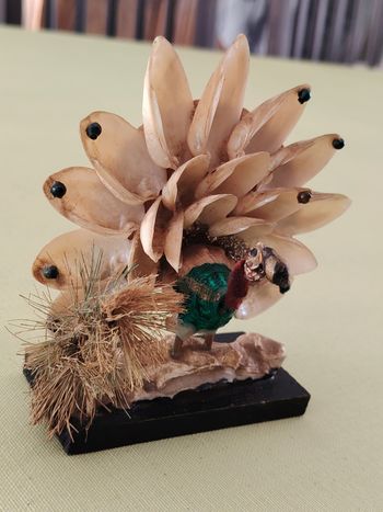 Déco paon en coquillages