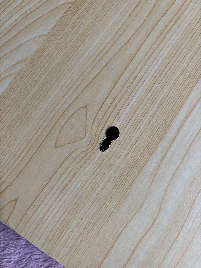 🫶🏼 Jolie griffoir pour chat jamais utilisé - photo numéro 7