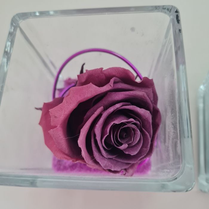 Deux compositions rose éternelle - photo numéro 4