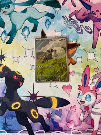 Moumouton de Nabil (JTG 170) Aventures Ensemble