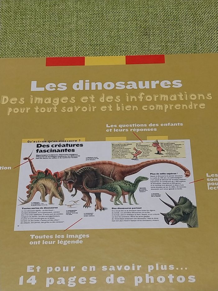 Les dinosaures livre enfant jeunesse Larousse - photo numéro 10