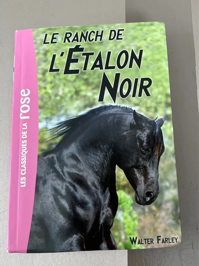 Livre jeunesse « le ranch de l’étalon noir »