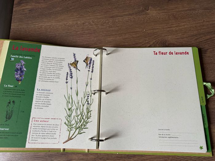 Mon herbier au fil des saisons James Gourier Milan jeunesse - photo numéro 6