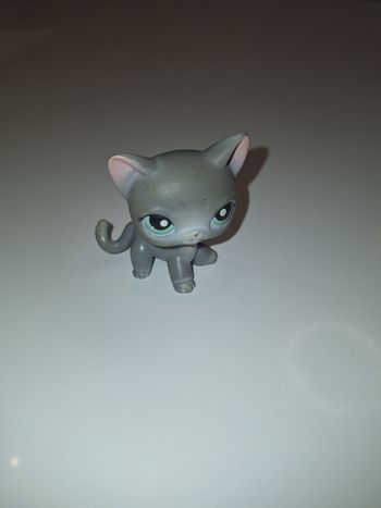 Petshop LPS chat gris yeux bleus