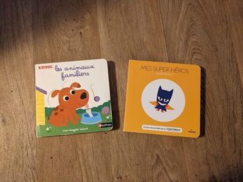 Livres pour bébés enfants kididoc les animaux familiers