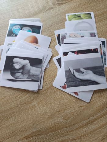 Montessori les contraires