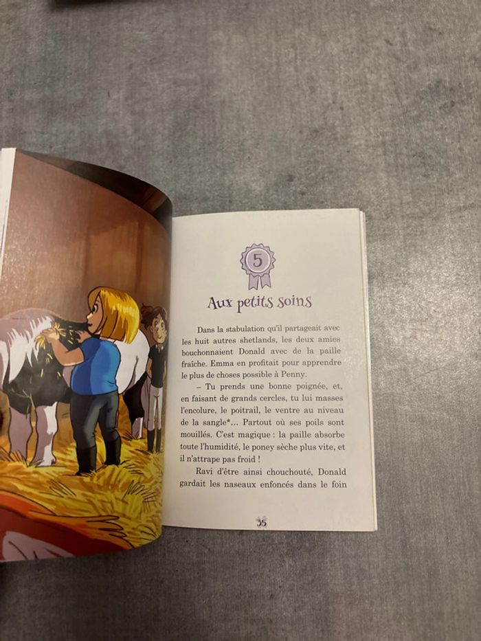 Livre penny au poney club, le pacte d’amitié - photo numéro 2
