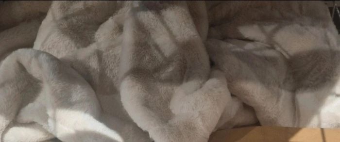 Plaid neuf tout doux 130x170 - photo numéro 3