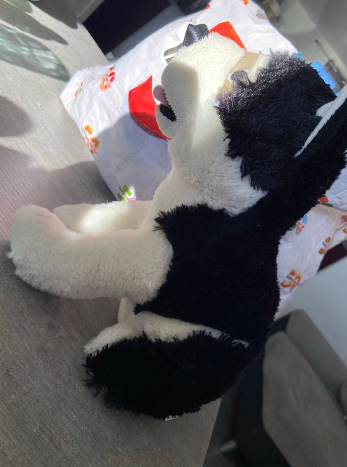 Stop porte - photo numéro 2