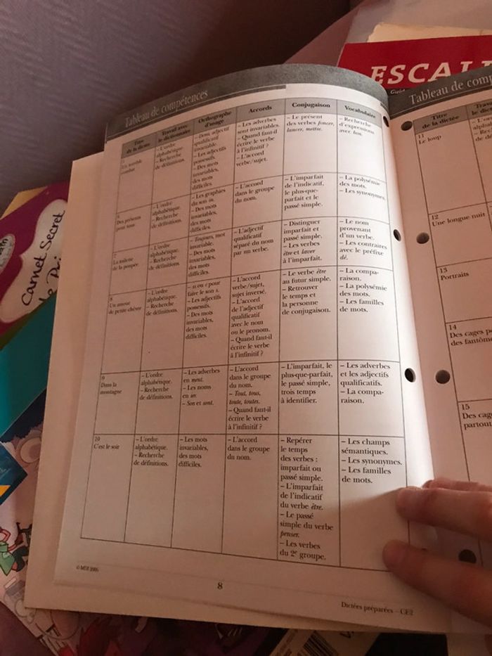 Dictées préparées CE2 MDI - photo numéro 3