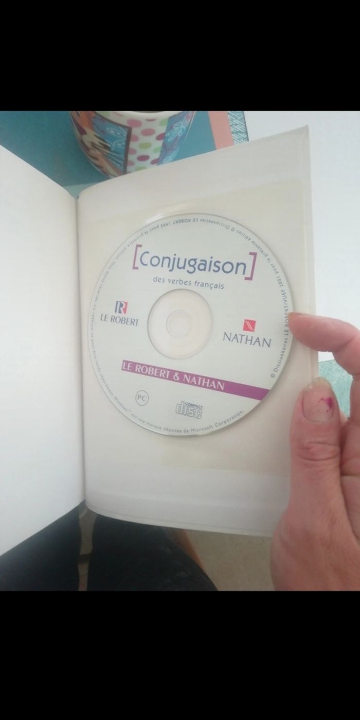 Le guide de conjugaison - photo numéro 3