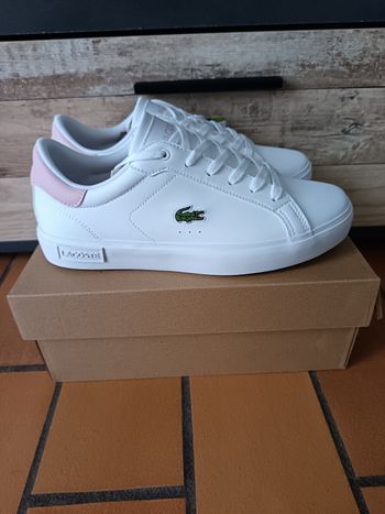 Basket Lacoste 