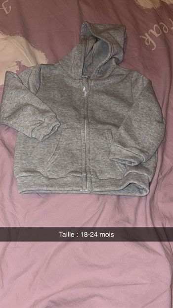 Gilet gris