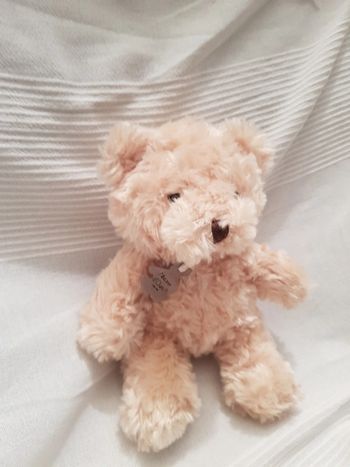 Ourson Histoire d'ours