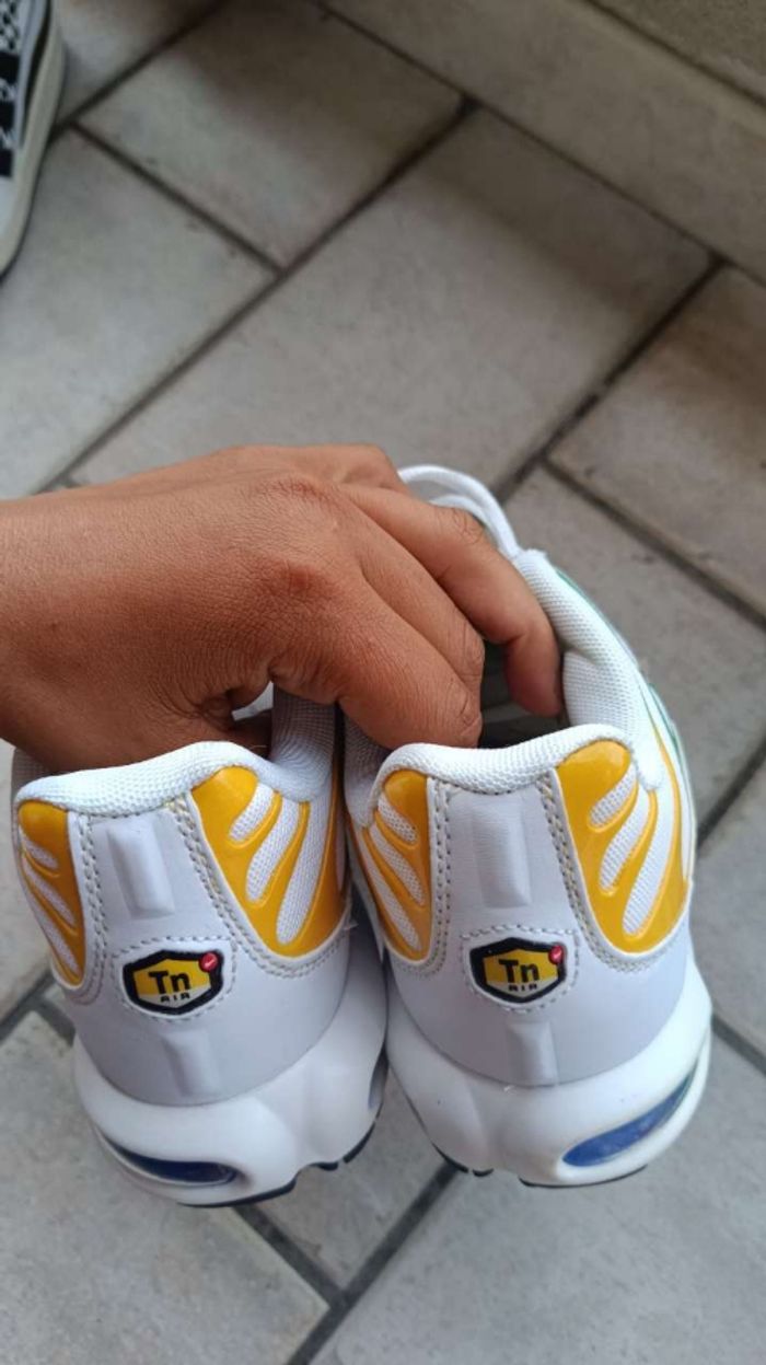 Basket tn - photo numéro 5