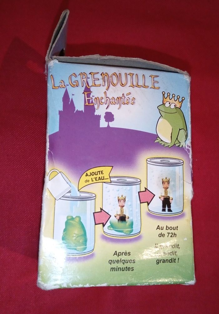 Grenouille enchanté 🐸 - photo numéro 2