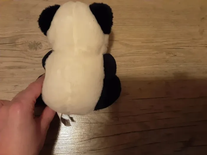 Panda - photo numéro 4