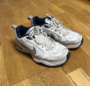 Basket Nike Air Monarch