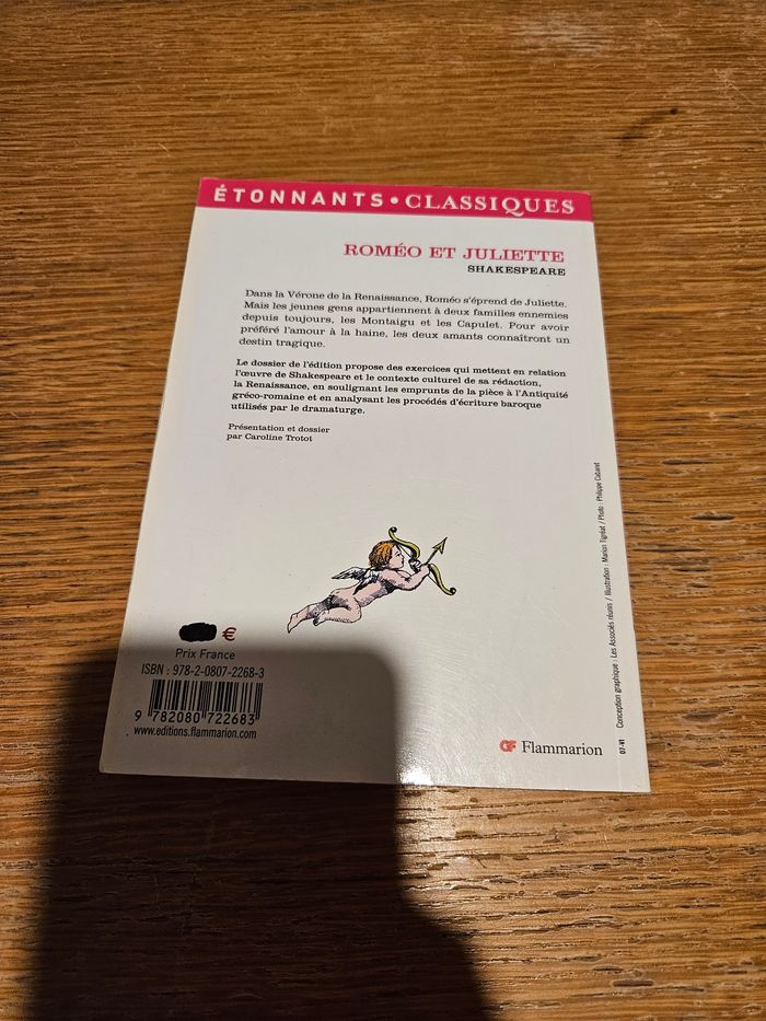 Livre - photo numéro 2