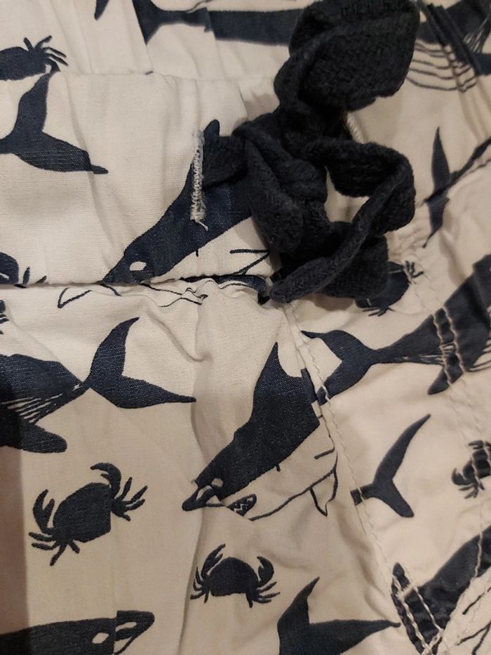 Short - photo numéro 2