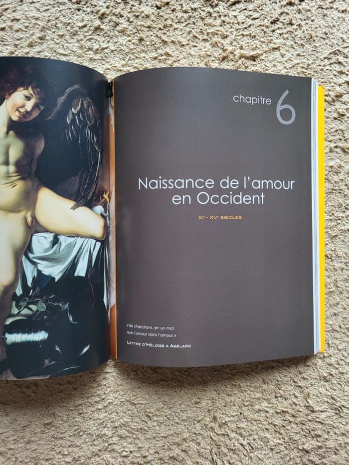 Livre de Jacques Attali Amours, histoires des relations entre les hommes et les femmes - photo numéro 9