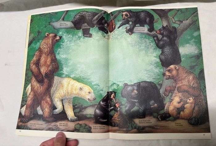 Magasine DENVER Dinosaure 🦖 jeux junior vintage - photo numéro 5