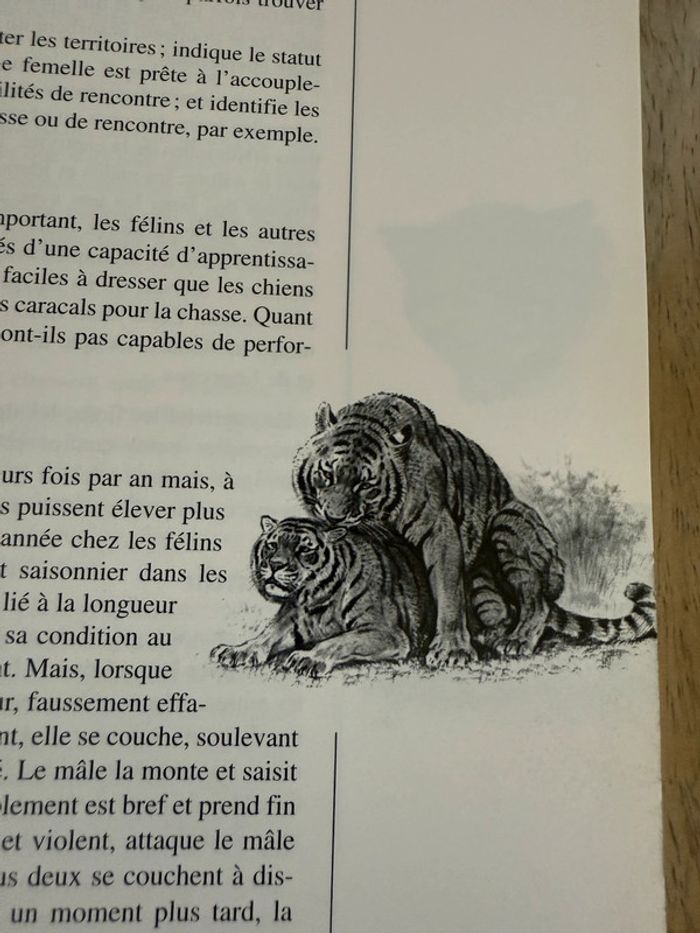Bibliothèque du naturaliste encyclopédie livre rare Les félins Robert Dallet panthères wwf - photo numéro 5
