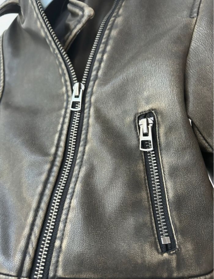 Perfecto Zara - photo numéro 5