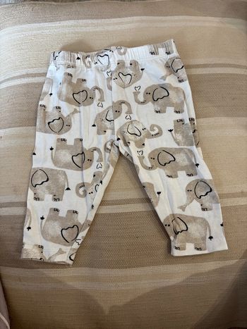 Legging