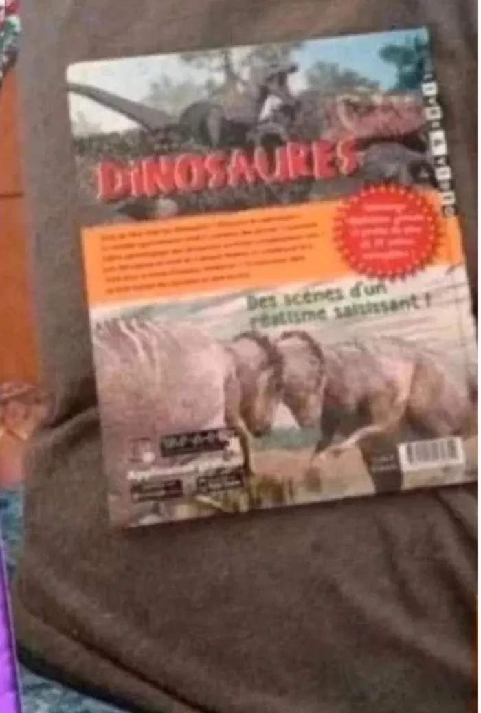 Livre La Grande imagerie dinosaures très bon état - photo numéro 2