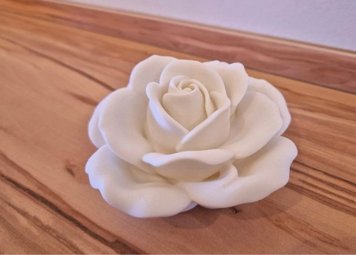 Photophore - photo numéro 4