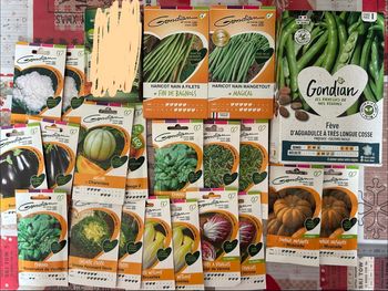 Gros lot de graines et semis légumes / salades 