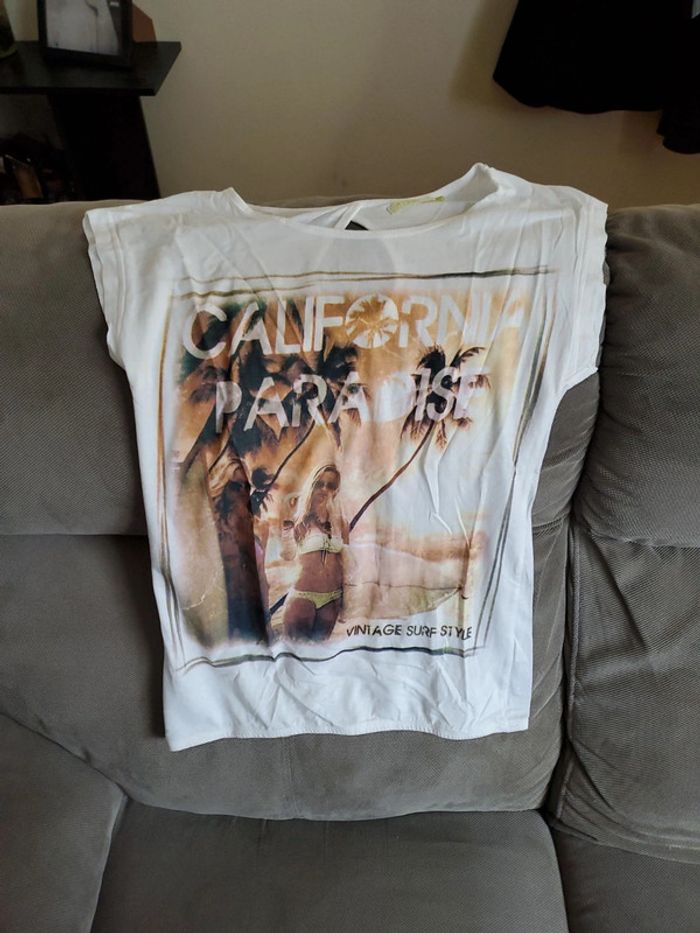 T.shrit
